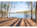 Picturesque view of the tranquil lake framed by trees in a scenic natural setting at 6066 Jepson Ct, Charlotte, NC 28214