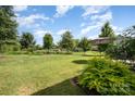 Spacious backyard with a lush green lawn, shade trees, and room for outdoor activities at 3614 Dolly Madison Rd, Charlotte, NC 28208