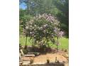 Beautiful backyard oasis with stone patio, lush greenery, and lovely flowering tree at 1308 Moonshadow Ln, Shelby, NC 28150