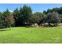 Lush green backyard with mature trees and flowering shrubs creates a serene outdoor space at 1308 Moonshadow Ln, Shelby, NC 28150