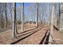 View of charming home secluded among bare trees on a picturesque lot at 2010 Creekwood Dr, York, SC 29745