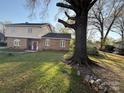 Charming brick home featuring a well-maintained lawn and mature trees for added shade and curb appeal at 3434 Fielding Ave, Charlotte, NC 28211