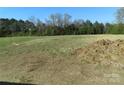 Picture of a spacious lot with grass and trees in the backyard, ready for landscaping at 122 Mason Tanner Ct # 5, Rock Hill, SC 29730