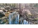 The property has a running stream in the backyard, surrounded by nature at 116 Jonas Dr, Lincolnton, NC 28092