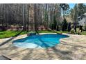 This backyard oasis showcases a kidney-shaped pool with stone features, surrounded by a lush green lawn and mature trees at 1041 Crofton Dr, Waxhaw, NC 28173