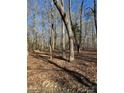 Photo of land covered with dried leaves and trees in the background at 9947 Lancaster Hwy # 7, Waxhaw, NC 28173