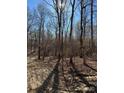 Image of a wooded area with tracks in the dirt at 9947 Lancaster Hwy # 7, Waxhaw, NC 28173