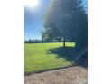 Lush green backyard featuring a large tree providing ample shade, perfect for outdoor enjoyment at 4519 S Potter Rd, Monroe, NC 28112