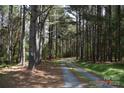 Gravel driveway winding through a beautiful, mature forest, providing privacy at 7780 Stokes Ferry Rd, Salisbury, NC 28146