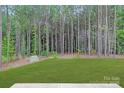 The backyard is bordered by a mature green space at 700 Sunset Pointe Dr, Salisbury, NC 28146