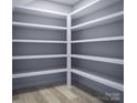 Walk-in pantry featuring spacious shelving for organized storage at 7027 Short Stirrup Ln, Mint Hill, NC 28227