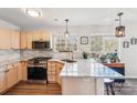 Bright kitchen featuring stainless steel appliances, granite countertops, and hardwood floors at 11615 Hidden Grove Trl, Charlotte, NC 28215