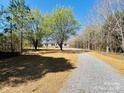 Scenic long driveway leading to a cozy home surrounded by lush trees and open space at 3144 Rickwood Dr, Newton, NC 28658