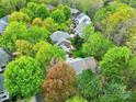 Lush aerial view of a residential neighborhood featuring tree-lined streets and well-maintained homes at 110 Sonnys Way, Fort Mill, SC 29708