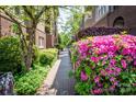 Charming brick walkway lined with lush greenery and colorful flowers, creating a welcoming path at 1101 E Morehead St # 31, Charlotte, NC 28204