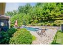 Backyard pool with stone surround and lush green landscape providing privacy and a relaxing outdoor space at 650 Tallulah Falls Dr, Denver, NC 28037