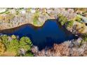 Aerial view of a serene pond surrounded by a lovely mix of deciduous and evergreen trees on a sunny day at 708 Ridgelake Dr, Weddington, NC 28104