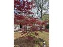 Well-maintained landscaped yard with a beautiful, vibrant red Japanese maple tree at 3735 Stonehaven Dr, Charlotte, NC 28215