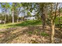 Spacious backyard with lush greenery, perfect for outdoor activities and relaxation at 6614 Old Providence Rd, Charlotte, NC 28226