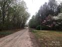 Scenic shot of a dirt street lined with mature trees and vibrant greenery at 235 John Rainey Rd, Salisbury, NC 28147