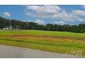 Expansive lot, perfect for building a new home in a serene, treed neighborhood at 135 Carters Farm Dr, Statesville, NC 28625