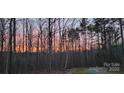 A picturesque sunset view is seen through the bare winter trees at 368 Northwood Dr, Troy, NC 27371