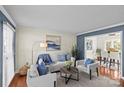 Comfortable living room featuring plush seating, a stylish rug, and serene blue accents for a relaxing atmosphere at 9637 Stoney Hill Ln, Charlotte, NC 28277