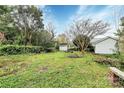 Lush backyard with mature trees and a storage shed, offering a private outdoor space at 105 Deaver St, Chester, SC 29706