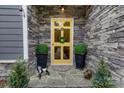 Inviting yellow front door with stone accents, decorative plants, and stylish exterior lighting at 4808 Truscott Rd, Charlotte, NC 28226