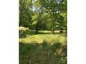 Expansive backyard surrounded by mature trees, offering a private and serene outdoor space at 311 33Rd Street Se Dr, Hickory, NC 28602