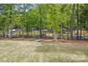 Beautiful lake view from the backyard with mature trees and a black aluminum fence at 4120 Spring Cove Way, Belmont, NC 28012
