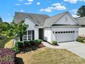 Inviting single-story home featuring lush landscaping, a well-maintained lawn, and attached two-car garage at 5039 Folly Ln, Fort Mill, SC 29707