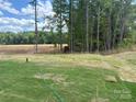 A new lawn and a wooded area are features of this property at 5711 Skinny Dr, Charlotte, NC 28215