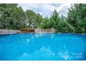 Cool view of refreshing in-ground pool surrounded by lush green trees at 1812 Sam Smith Rd, Fort Mill, SC 29708