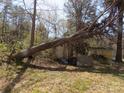 View of the backyard with a downed tree at 543 Queens Rd, Gastonia, NC 28052