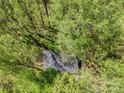 Aerial view of a house surrounded by trees, showing the property's secluded location at 322 Electra Ln, Stanley, NC 28164