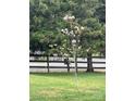 Dogwood tree in full bloom adds beauty to the landscaped front yard and rural surroundings at 291 Love Valley Rd, Statesville, NC 28625
