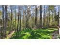 Expansive green backyard surrounded by lush trees providing a private and serene setting at 472 Bellingshire Dr, Mt Ulla, NC 28125