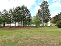 Scenic view of the pond, framed by trees and lush greenery, perfect for relaxation at 44429 Oriole Dr # 102, Indian Land, SC 29707