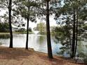 Picturesque pond view with a water fountain, surrounded by mature trees and homes at 44429 Oriole Dr # 102, Indian Land, SC 29707