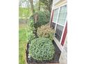 Close up of side yard featuring lush greenery and manicured garden beds at 119 W Maranta Rd, Mooresville, NC 28117