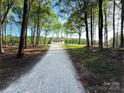 Exterior shot of the home down a long gravel driveway, surrounded by lush trees and greenery at 1407 Clarksville Campground Rd, Monroe, NC 28112