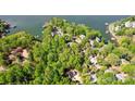 A high-angle view of the houses with docks and lush green trees on a lake at 4036 Windward Dr, Tega Cay, SC 29708