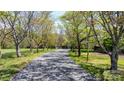 Long, tree-lined driveway leading to the residence with surrounding green landscape at 4067 Old Buff Rd, Hickory, NC 28602