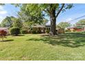 Single-story brick home on a sprawling lawn with mature trees providing ample shade at 2721 Albany Ln, Charlotte, NC 28205