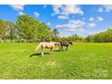 Horses graze in a green pasture under a blue sky with trees on the horizon at 4896 Pageland Hwy, Lancaster, SC 29720