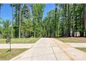 Long driveway leading to a secluded property, surrounded by mature trees and lush greenery at 16518 Here At Last Ln, Charlotte, NC 28278