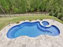 An eye-catching in-ground pool with a spa is surrounded by lush landscaping and stone patio at 10035 Mast Cove Ln, Charlotte, NC 28278