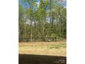 A large fenced backyard with green grass, and tree lined property in the background at 2932 Pirates Pl, Charlotte, NC 28216
