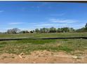 Expansive backyard with a lush grassy field offering a serene view at 1070 Gardenia Dr # 4, Mt Ulla, NC 28125